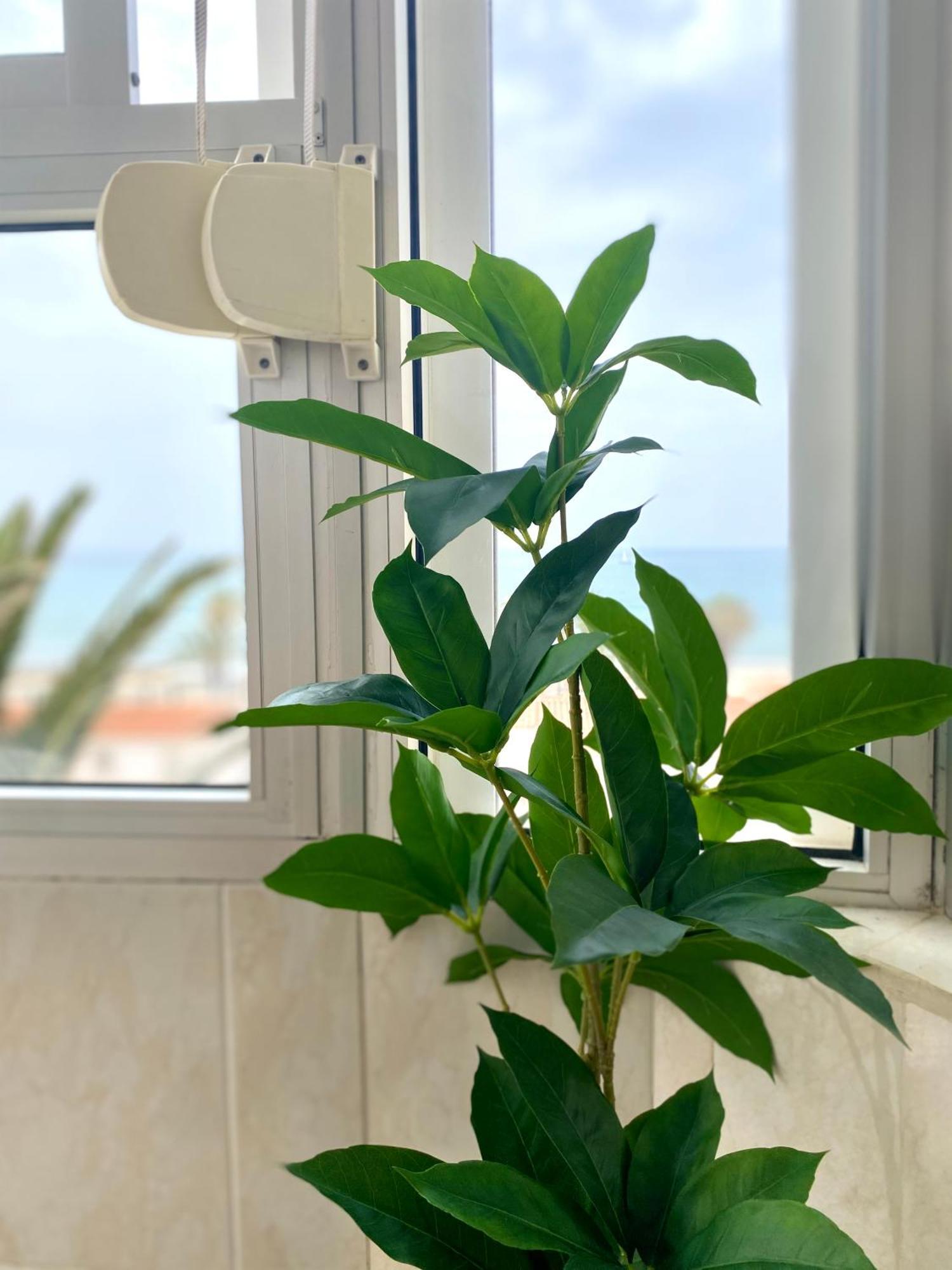 Apartamento Luz Del Mar 托罗克斯科斯塔 外观 照片